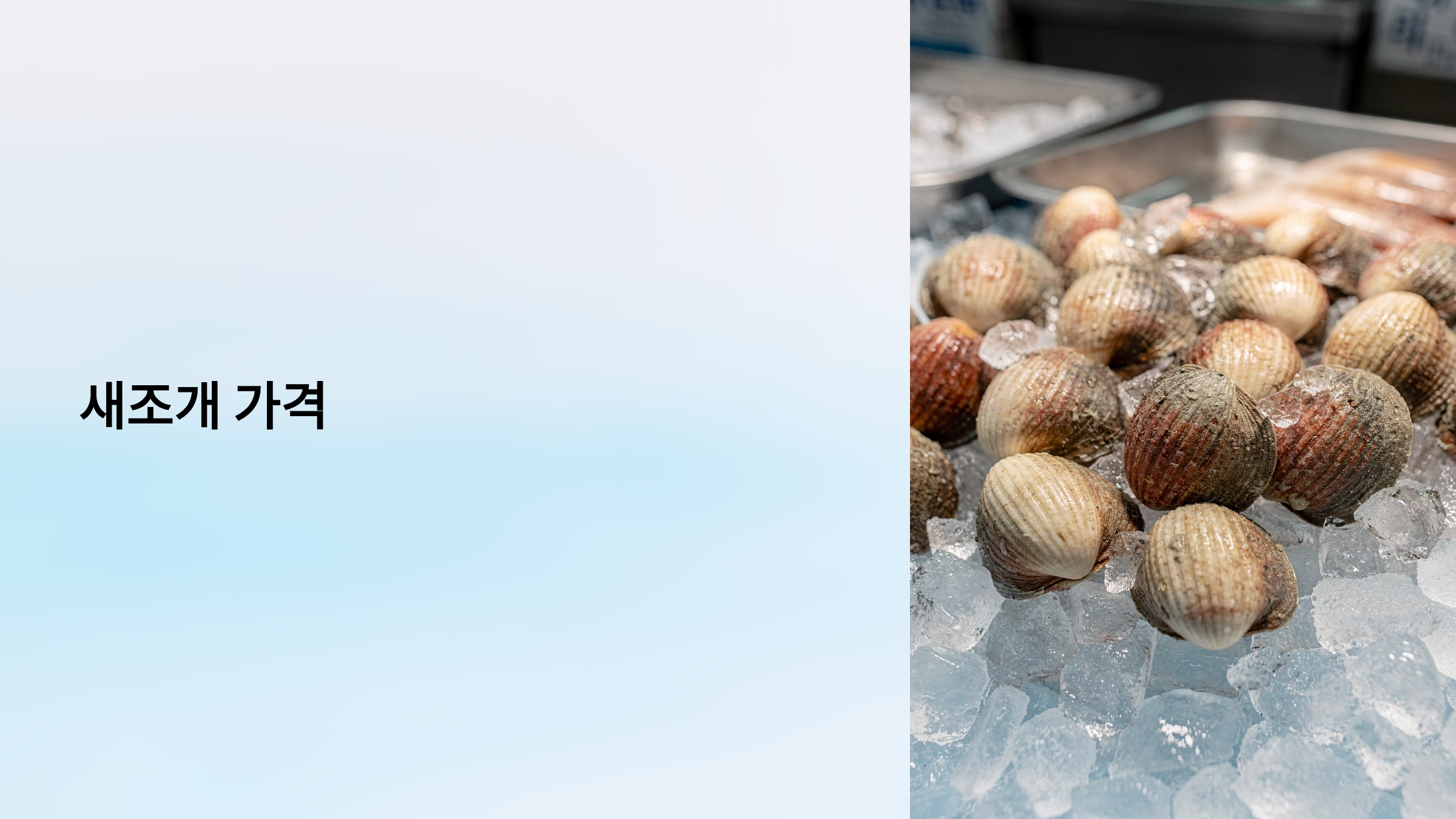 새조개 가격 알아보기
