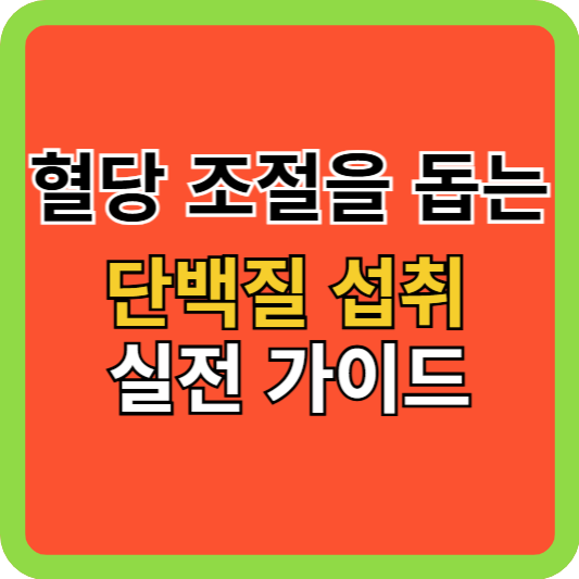 혈당 조절을 돕는 단백질 섭취 실전 가이드