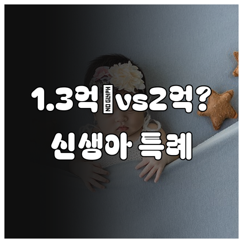 2026년 신생아 특례대출 소득 기준..