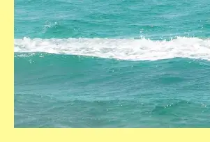 시흥 웨이브파크