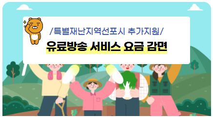 특별 재난지역 선포시 추가지원