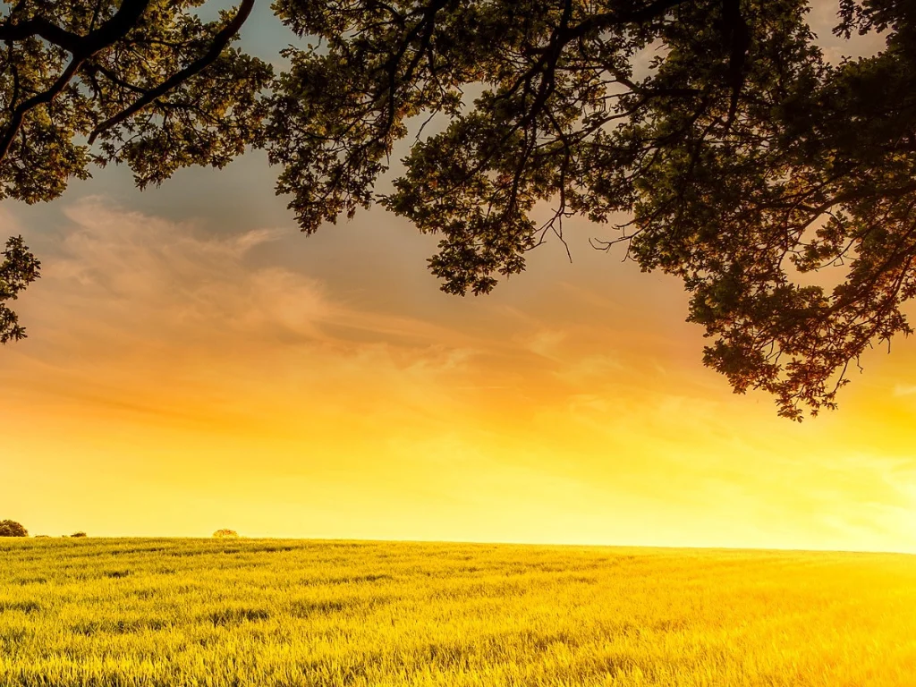 &ldquo;다정함은 삶이 준 선물이다.&rdquo;