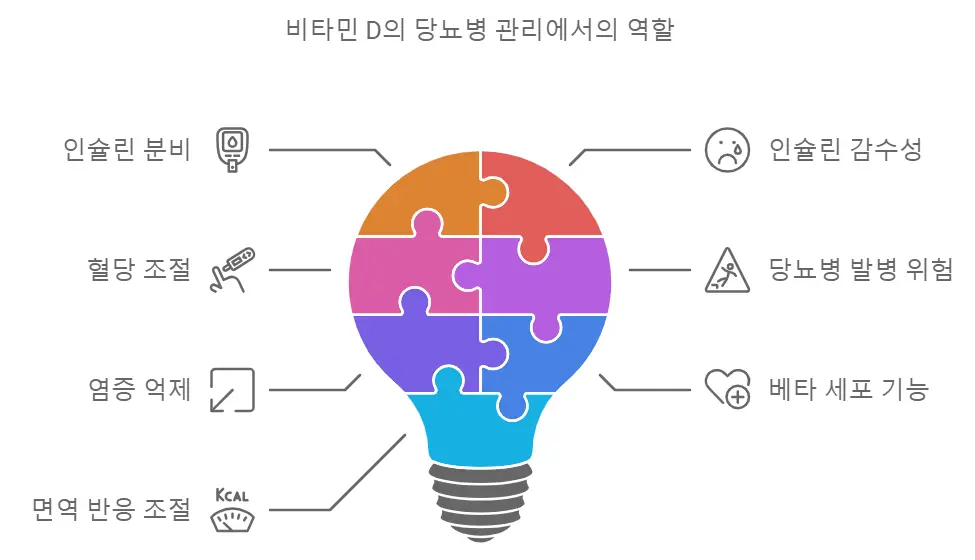 비타민D효능