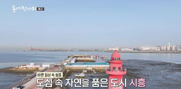 경기도시흥-동네한바퀴