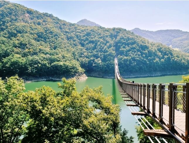 옥순봉출렁다리