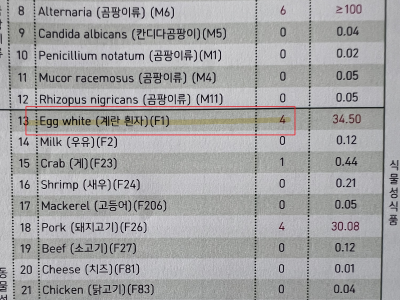 알레르기 MAST 검사지