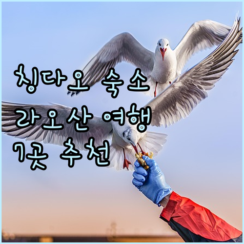 칭다오 라오산 여행 숙소 고민 끝 7
