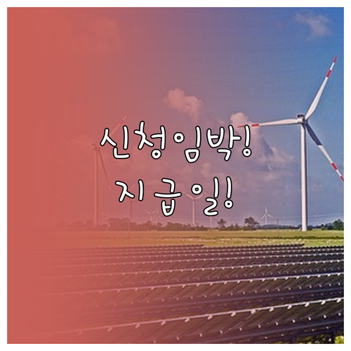 2026년 양양군 청년월세지원 지급일..