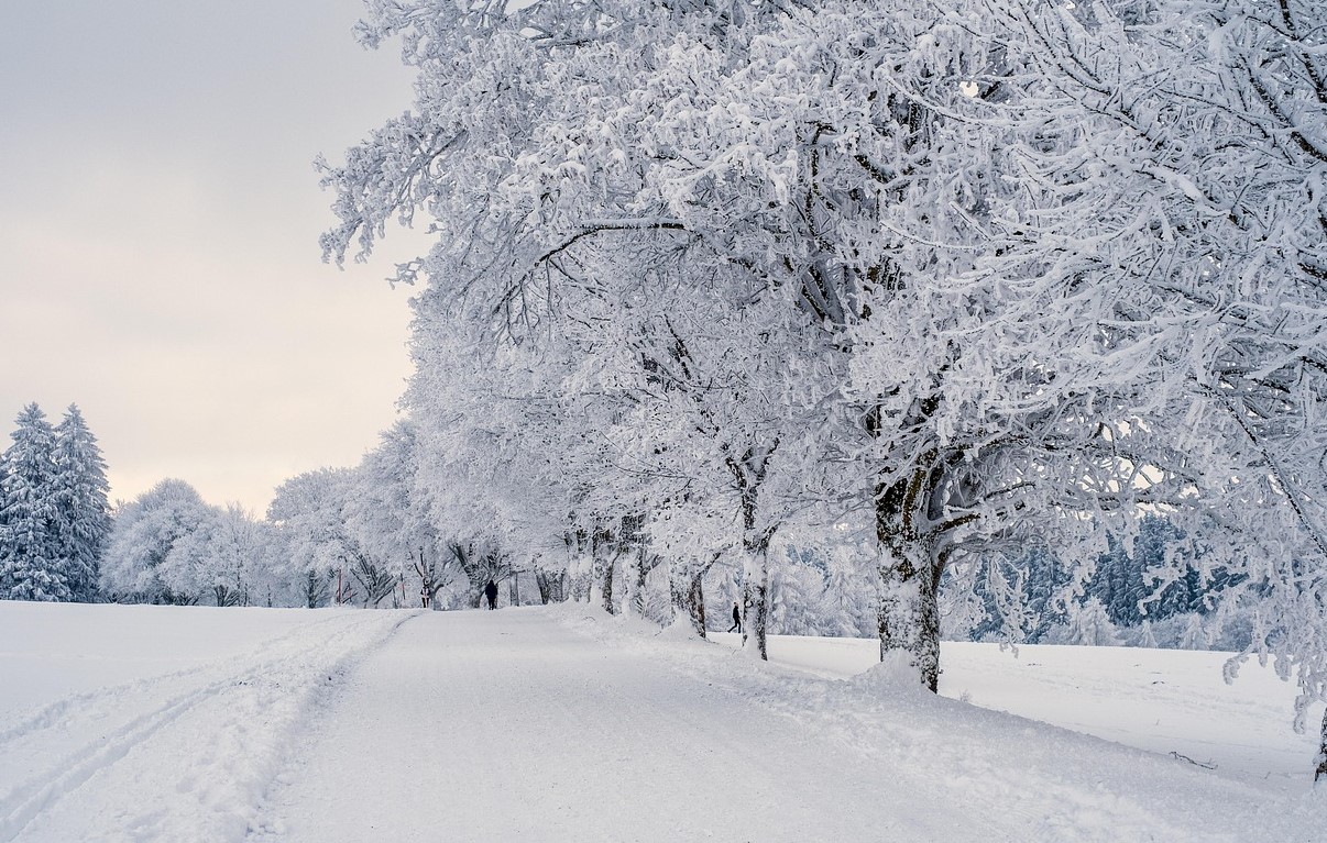 지금 한국증시, 당신의 체감온도는 몇도인가요?
