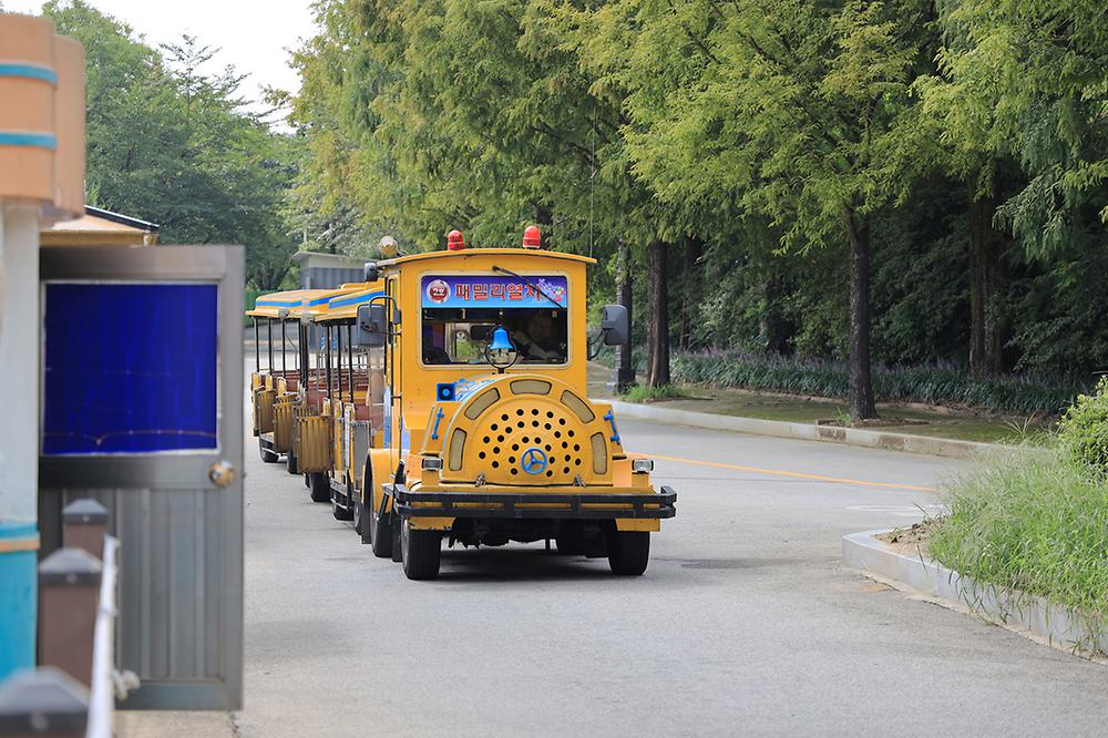 광주패밀리랜드 카라반캠핑장 소개