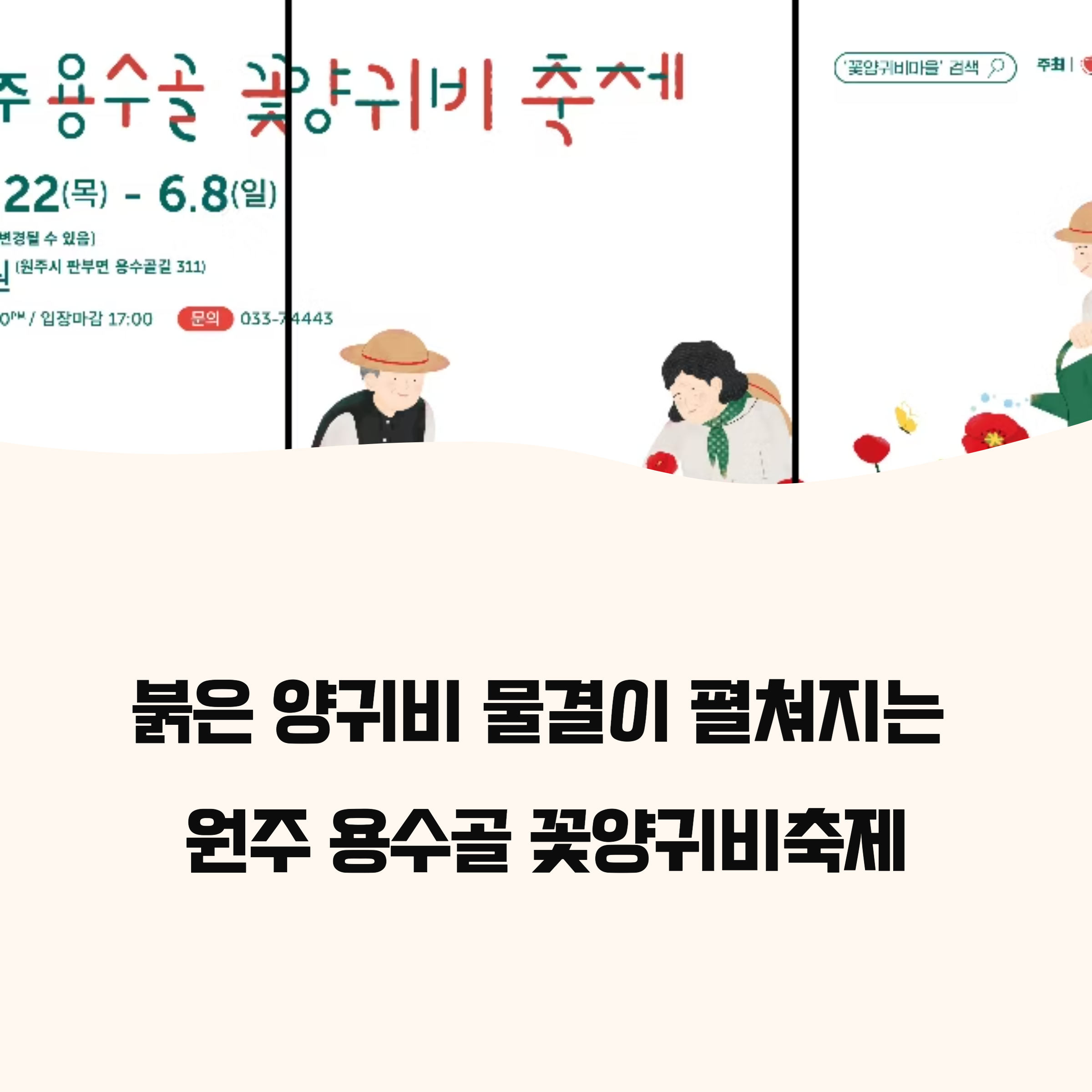 2025 원주용수골꽃양귀비축제