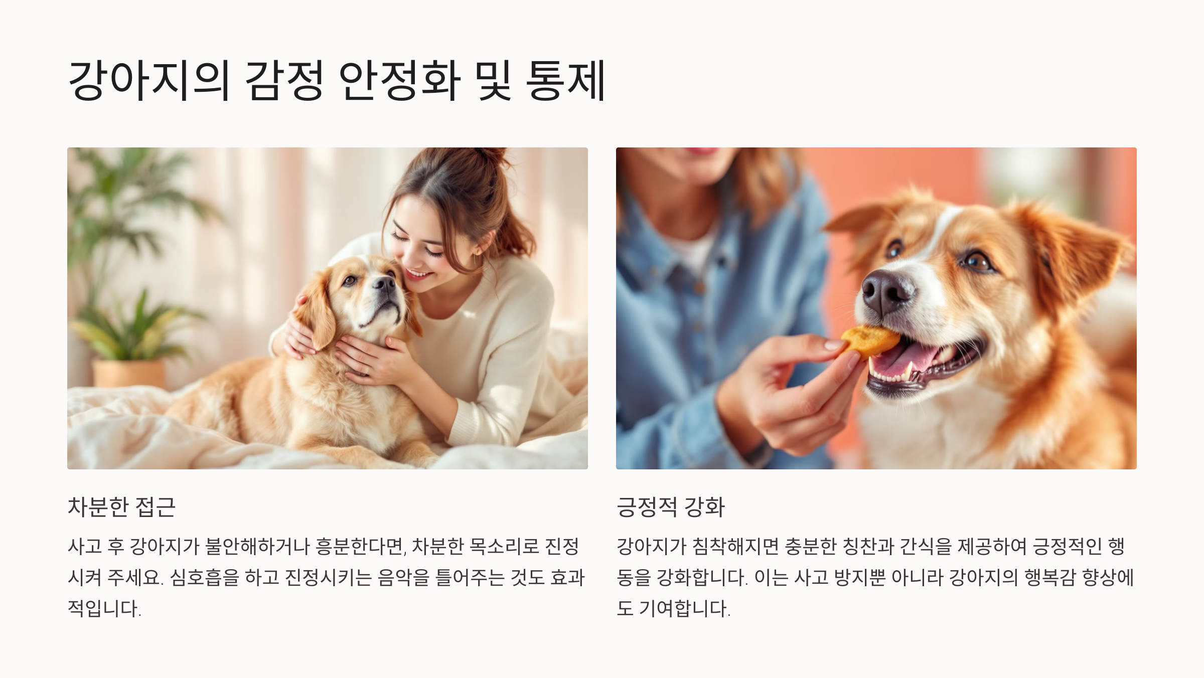 강아지의 감정 안정화 및 통제