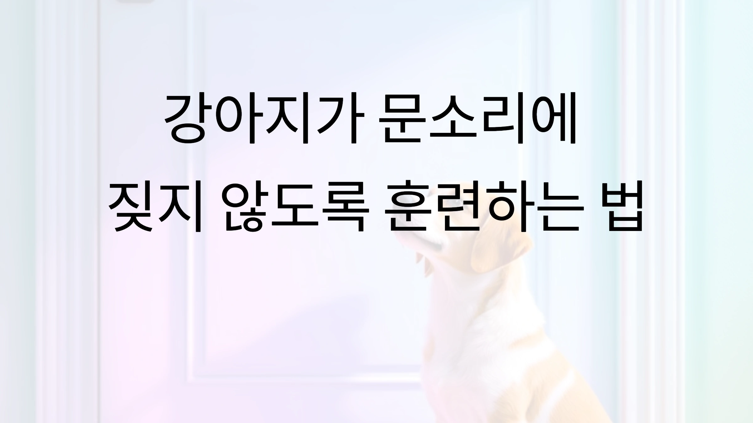 강아지가 문소리에 짖지 않도록 훈련하는 법