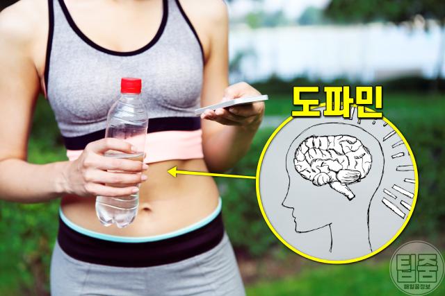 식욕억제제 약 효과 식욕감퇴 음식,가짜식욕퇴치