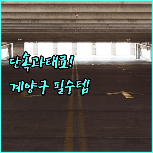 인천 계양구 주정차 단속 알림 문자 ..