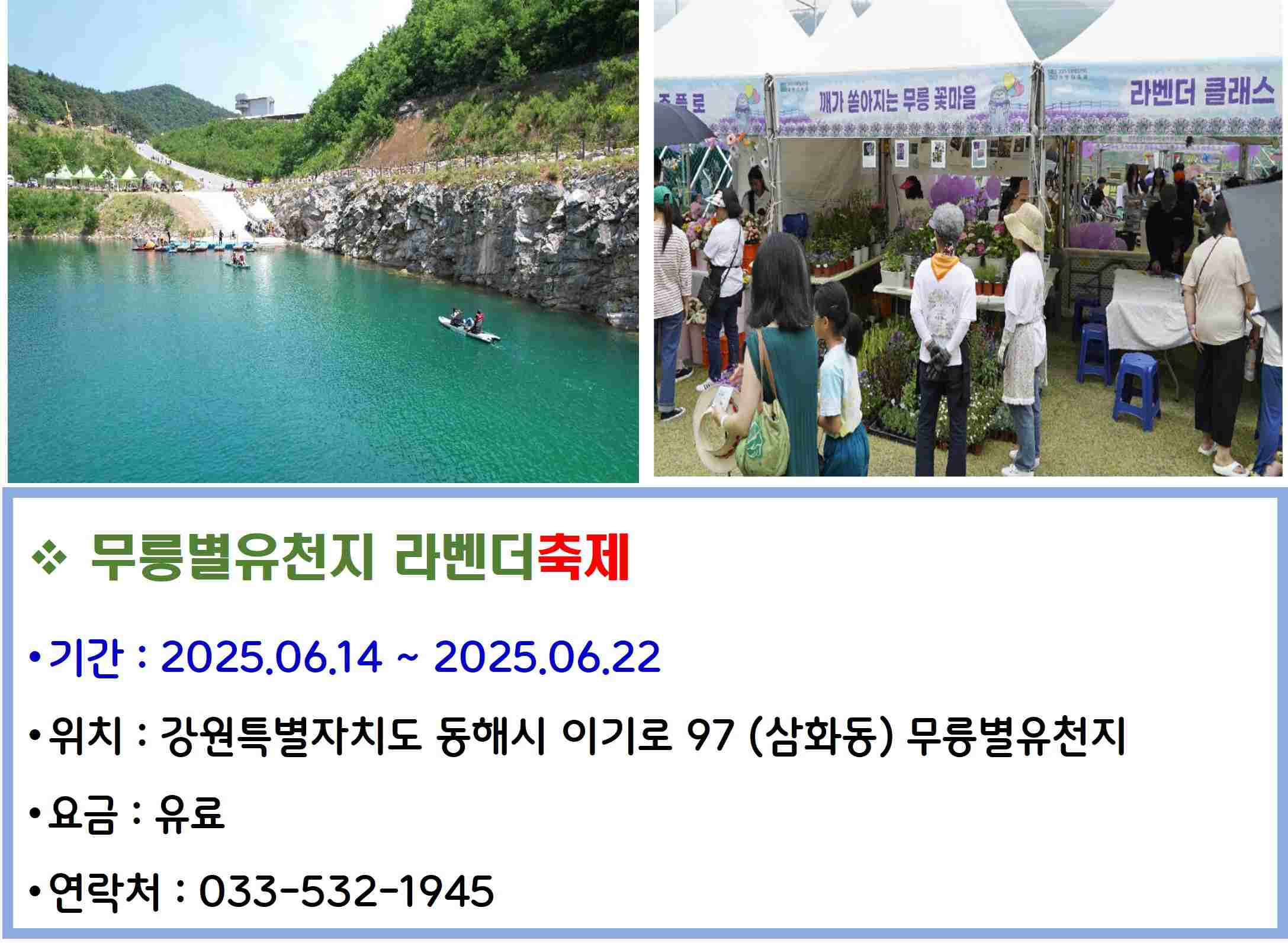 무릉별유천지 라벤더축제