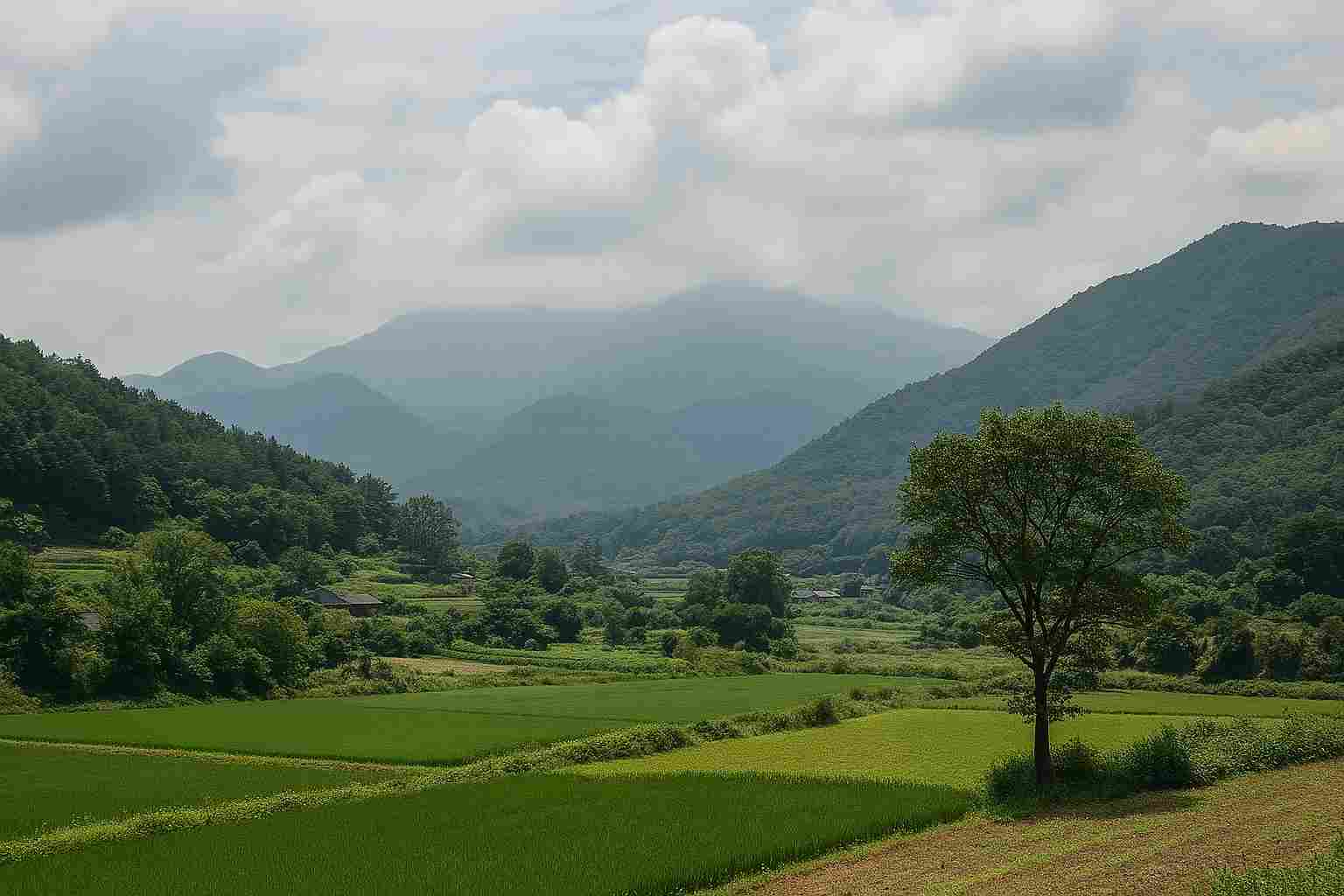 소리를 따라 그린 풍경화: 산천초목을 묘사한 민속 음악