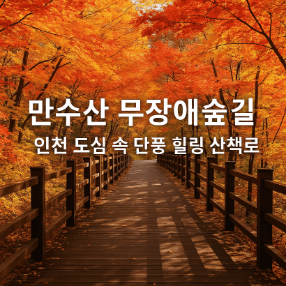 [명품숲길 50선 가을단풍 산행 ⑤] 만수산 무장애숲길 : 인천 도심 속 단풍 힐링 산책로