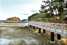 6시내고향 사천 굴구이 순애민박 위치 예약 꿀팁 대공개