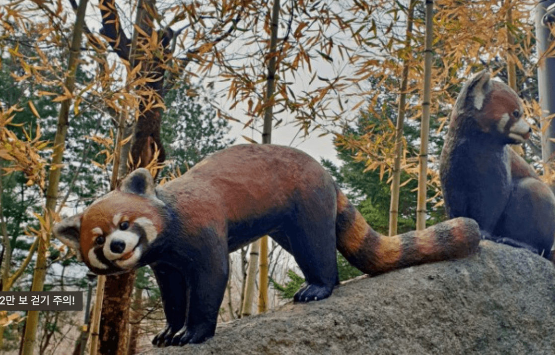 서울랜드너구리