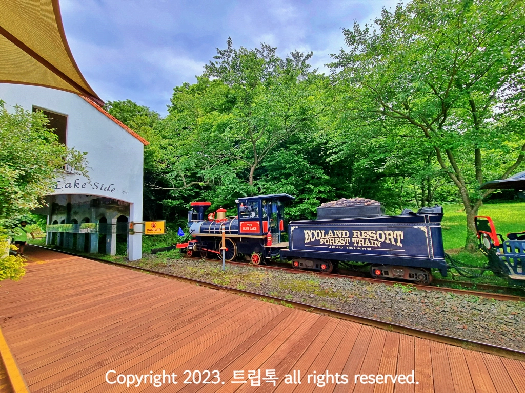 역 근처에 검정색 열차가 정차되어 있다.