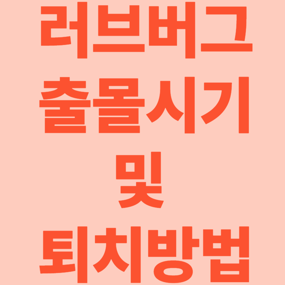 러브버그 출몰시기 및 퇴치방법