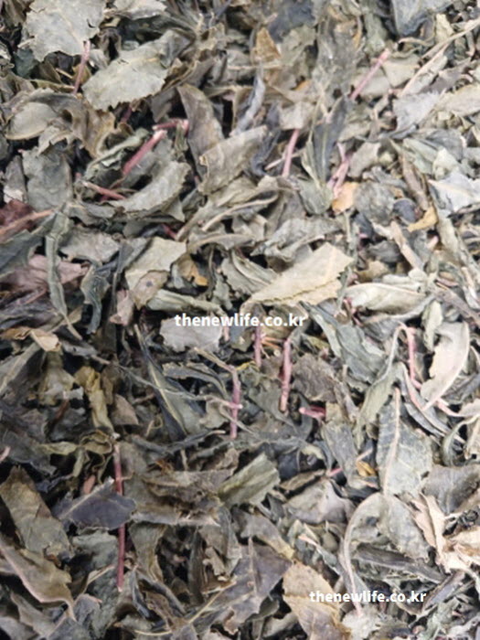 고혈압에 좋은 음식 차 녹차