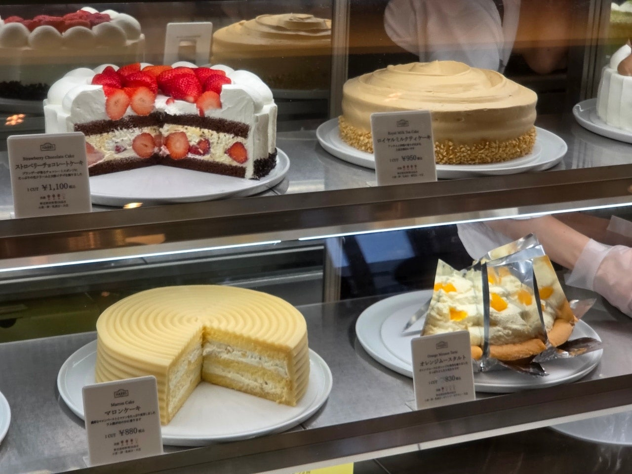 나고야 하브스 웨이팅 풍경, 하브스 오픈런 필수 이유