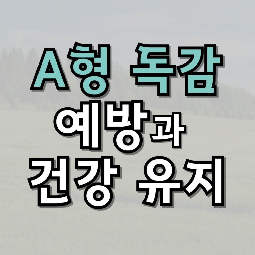 A형 독감 예방과 건강 유지 비결