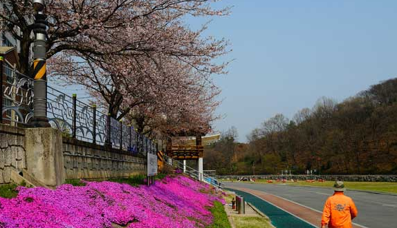 청양 가볼만한곳 베스트10