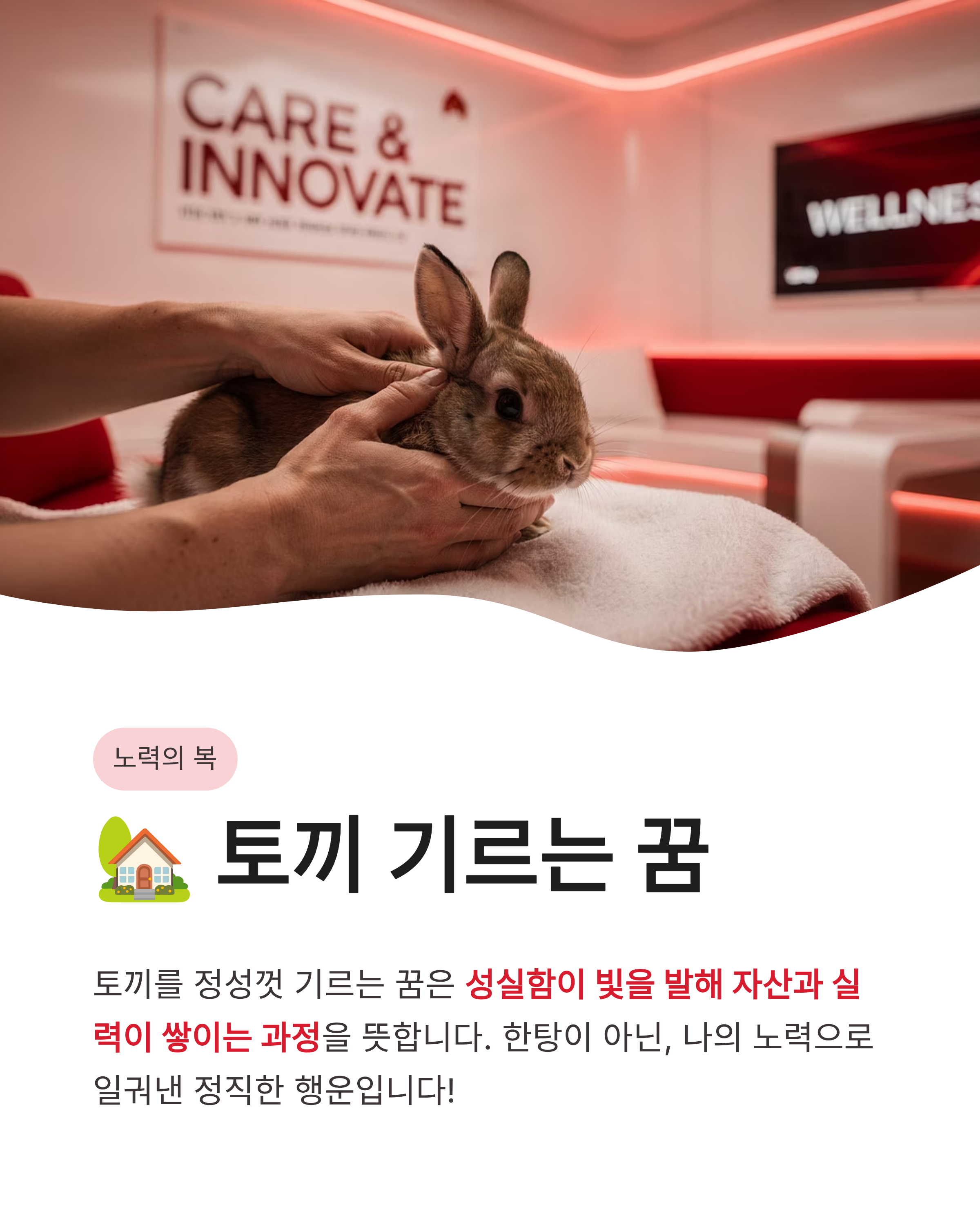 토끼꿈 해몽 흰 토끼 잡는 꿈 새끼 토끼 태몽까지! 복이 껑충 들어오는 대박 징조 총정리
