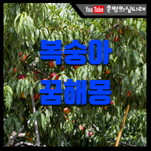 썸네일 사진