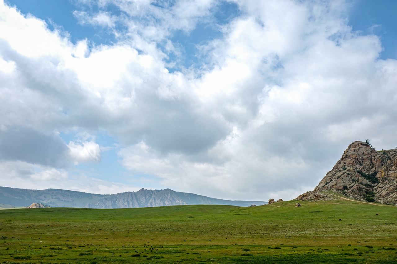 몽골 여행에 관련된 사진