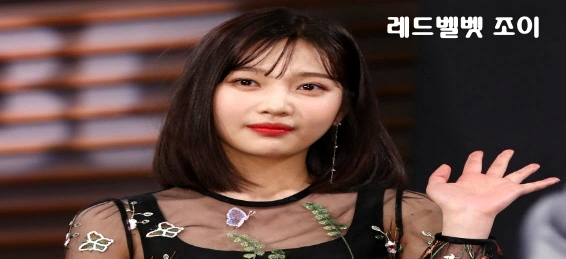 레드벨벳 조이