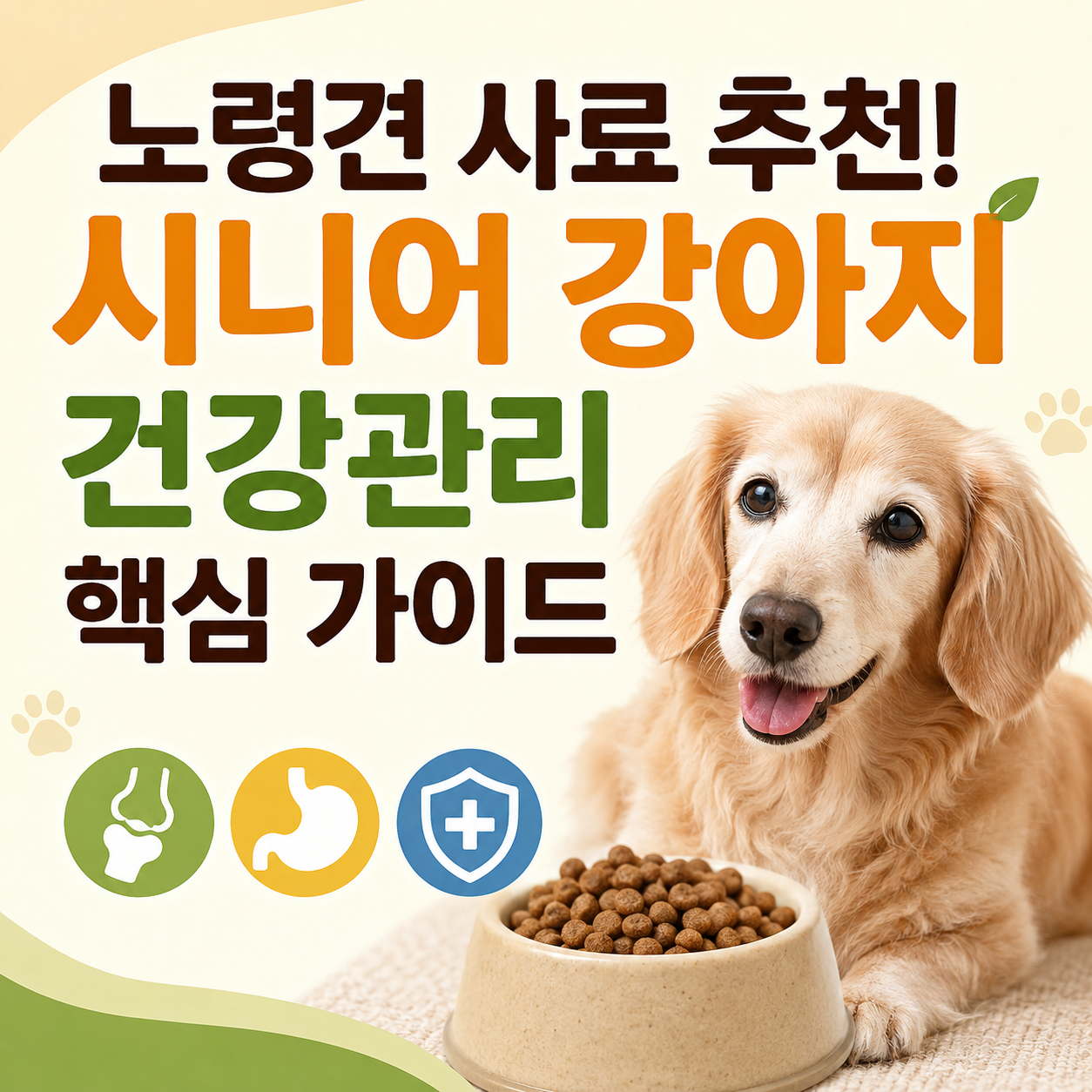 노령견 사료