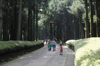 걷기 좋은 명품 숲길 50선 전국 서울 경기_24