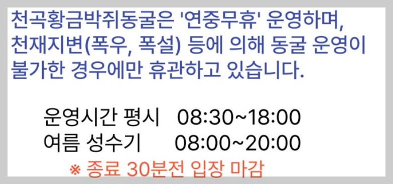 동해 가볼만한곳 천곡황금박쥐동굴 후기 비 오는 날 좋은 실내 여행지