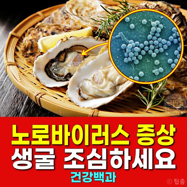 노로바이러스 증상 대처