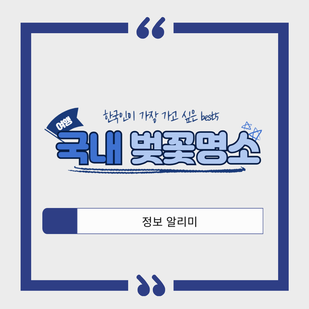 국내 벚꽃 명소 베스트 5 ❘ 봄이 오면 꼭 가봐야 할 여행지 추천!