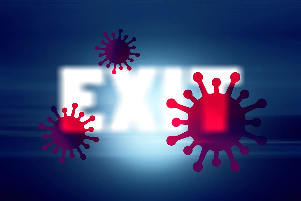 바이러스 exit