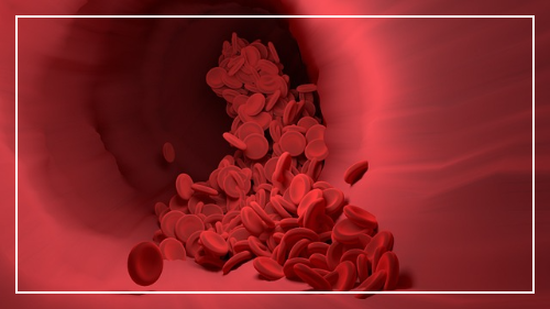 알티지 오메가3 효능 정리 