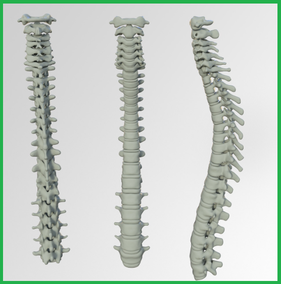 허리통증 예방 및 해결