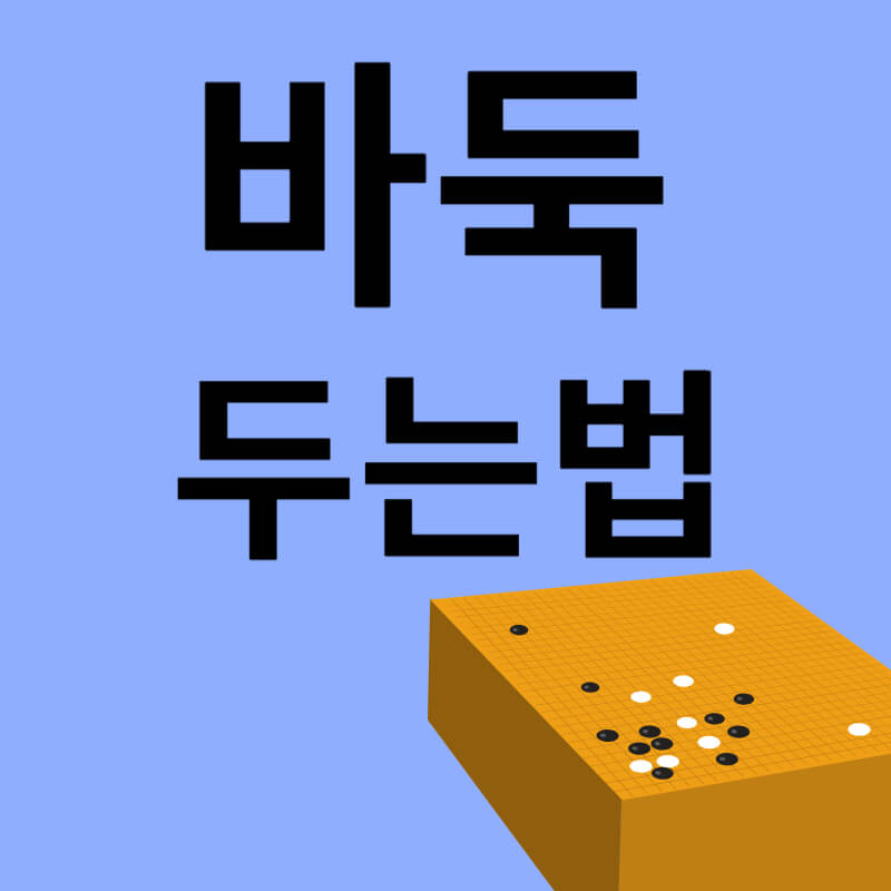 바둑 두는법