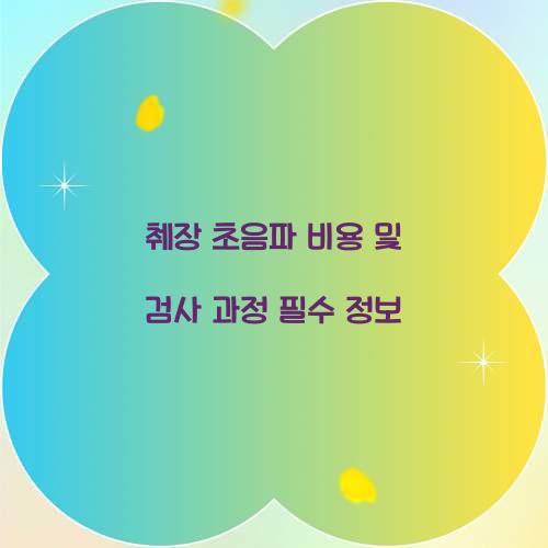 췌장 초음파 비용