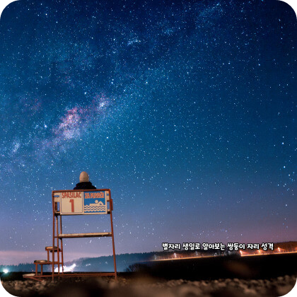 생일 별자리로 알아보는 쌍둥이자리 성격