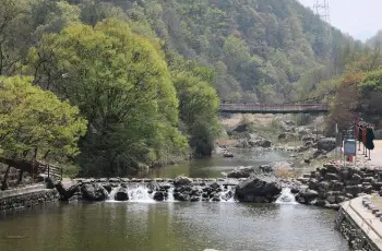 장령산 자연휴양림 물놀이_2