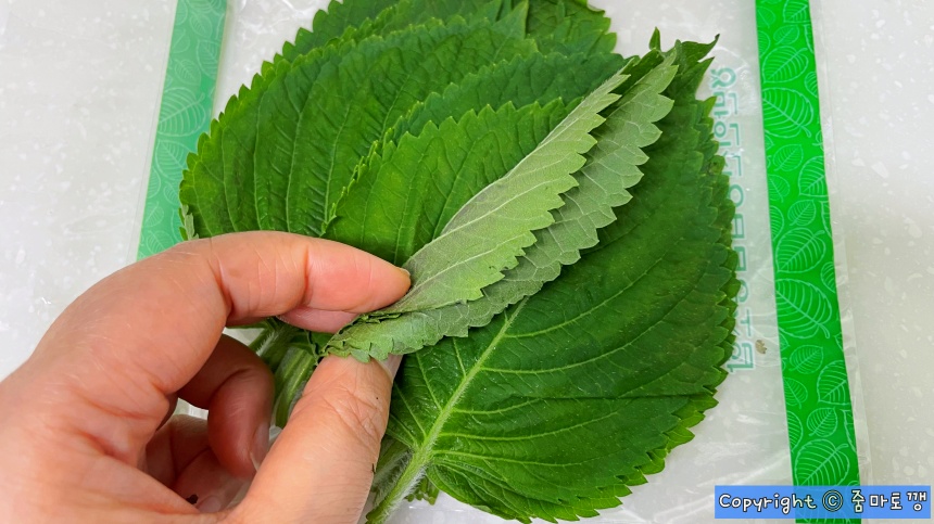 깻잎