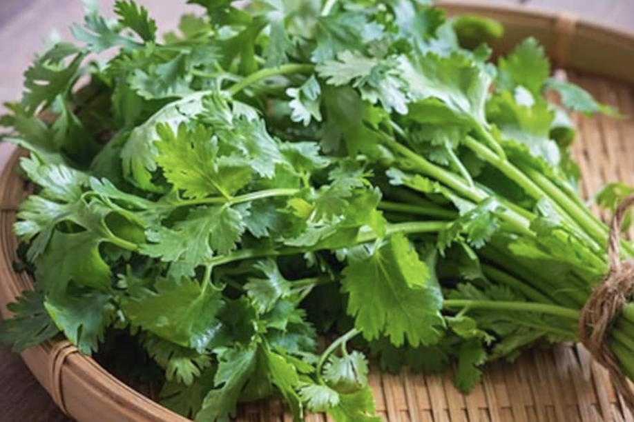 고수 구입 요령