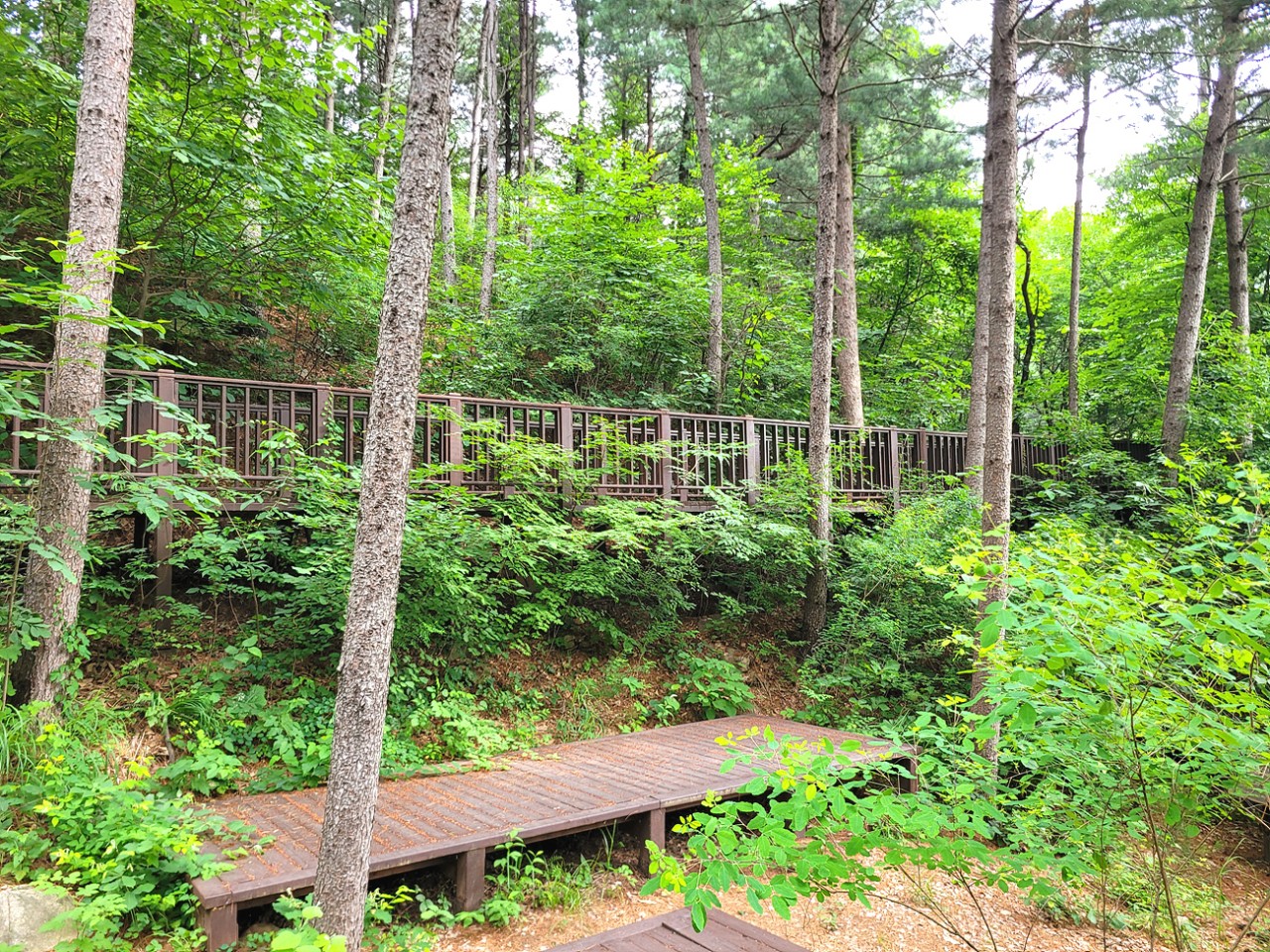 산음 자연휴양림