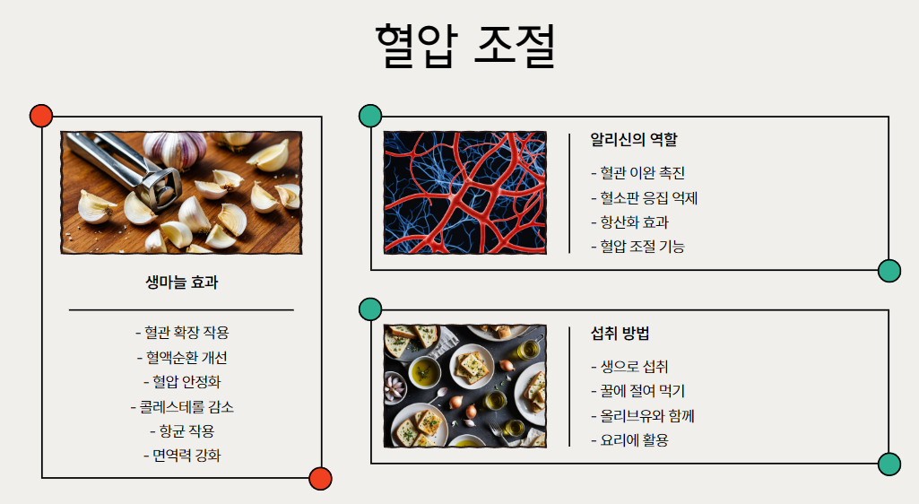 혈압 조절의 왕, 생마늘